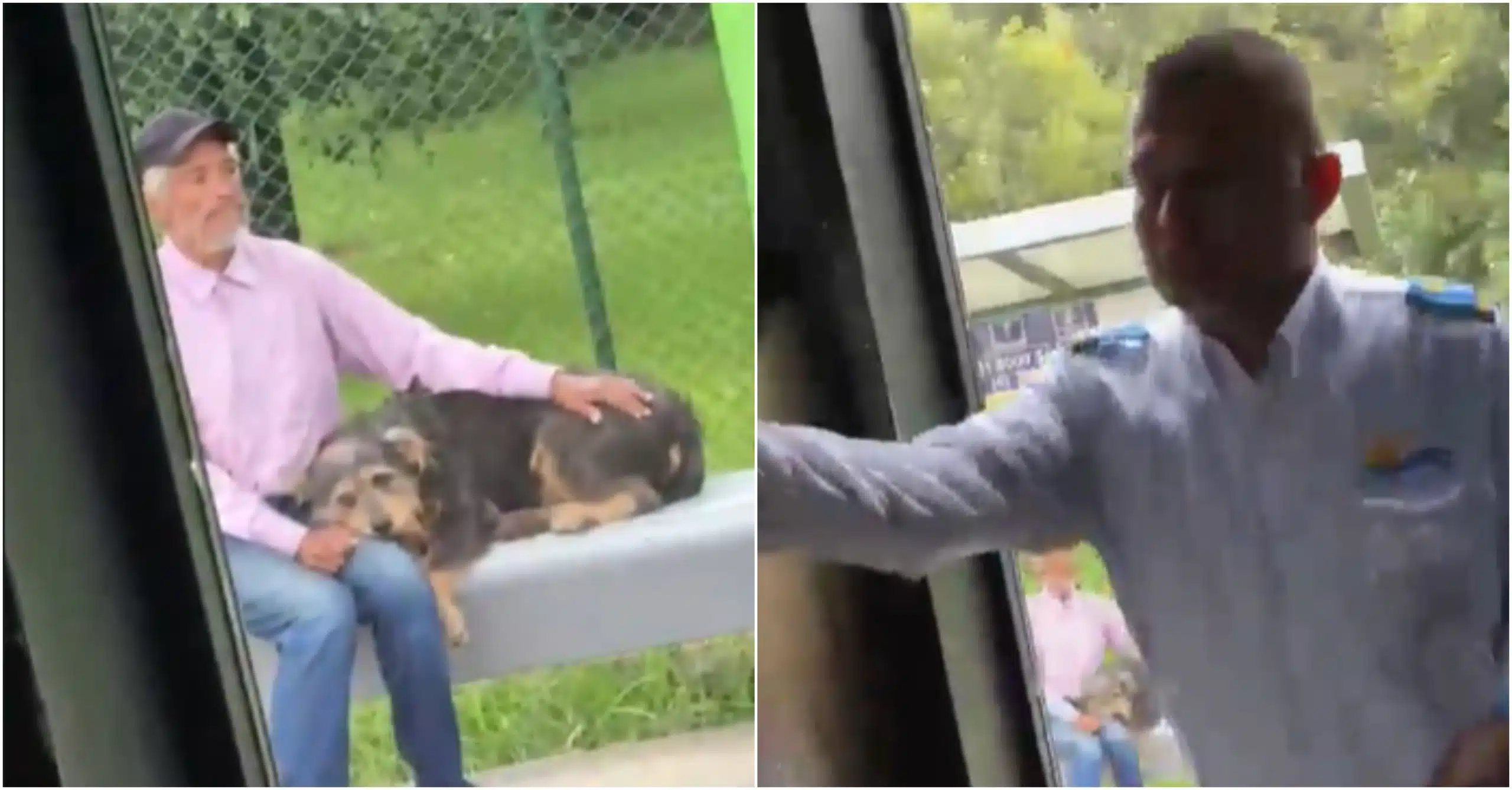 Indignación por conductor bus que no quiso llevar a adulto mayor y su perrito