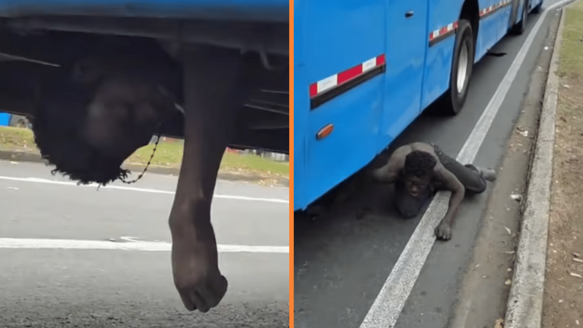 Insólita escena hombre viajaba dormido debajo de un bus del MIO en movimiento