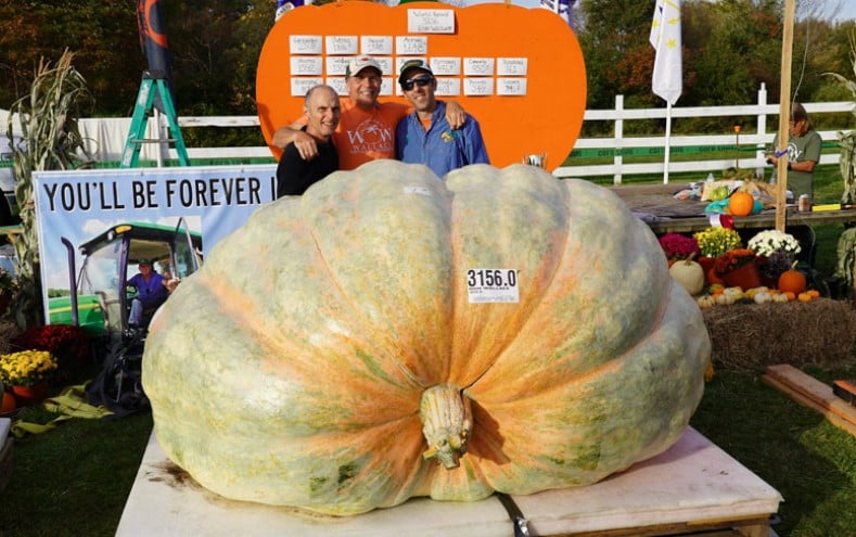 La calabaza más grande del mundo