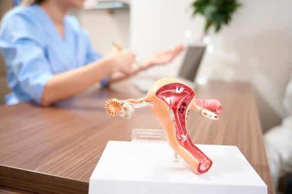Perimenopausia conoce los cambios de tu cuerpo