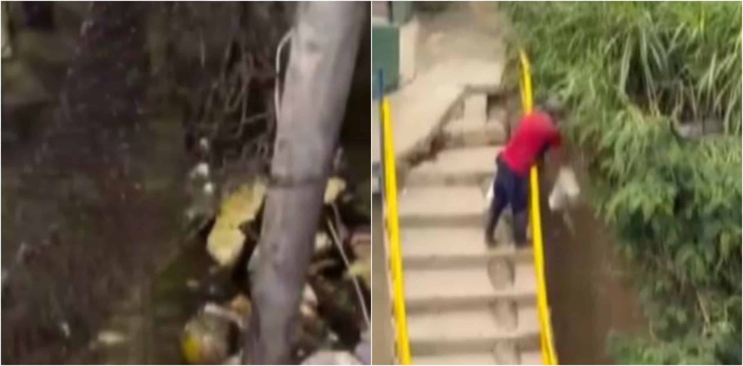 Preocupa obstrucción de quebrada en Santa Cruz por arrojo de residuos