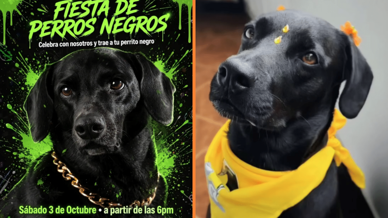 ¿Tiene un perrito negro habrá gran encuentro este 3 de octubre en Parques del Río