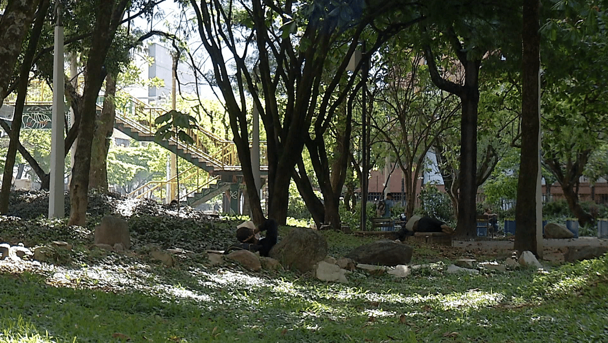 Personería hace llamado a revisar política pública para habitantes de calle en Medellín
