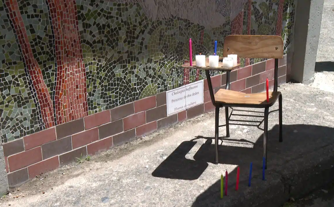 Un bolso, clave en la investigación por el homicidio de un menor de 13 años en El Carmen de Viboral