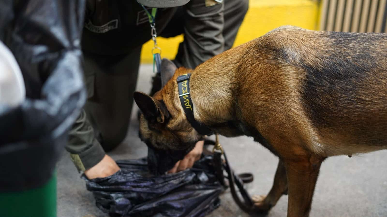 Operativo en Barrio Antioquia deja cinco capturados y miles de dosis de droga incautadas