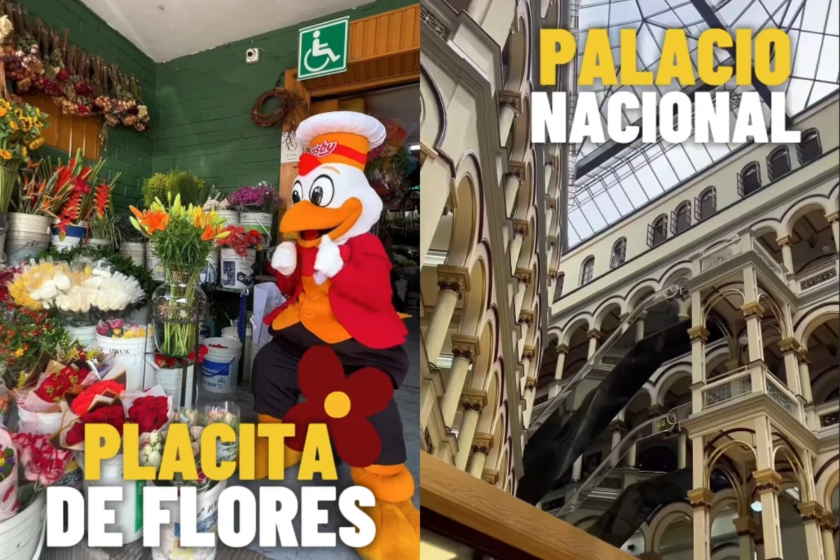 ¿Cuál hace falta? El pollo Frisby reveló los lugares de Medellín que solo los paisas entienden la vibra